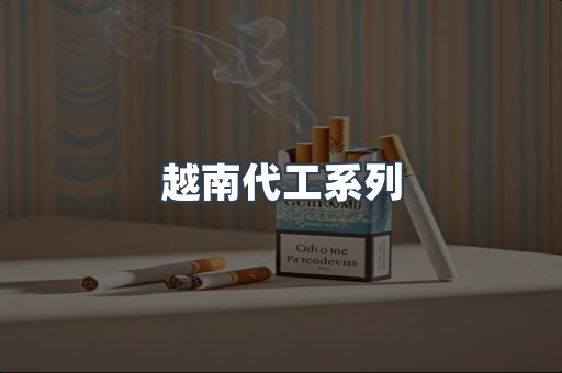 越南代工系列